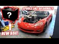 We FIXED Ruby’s Boost Problems!!! (Making 30+psi Now) + Surprising James With a SICK New Tool Box!