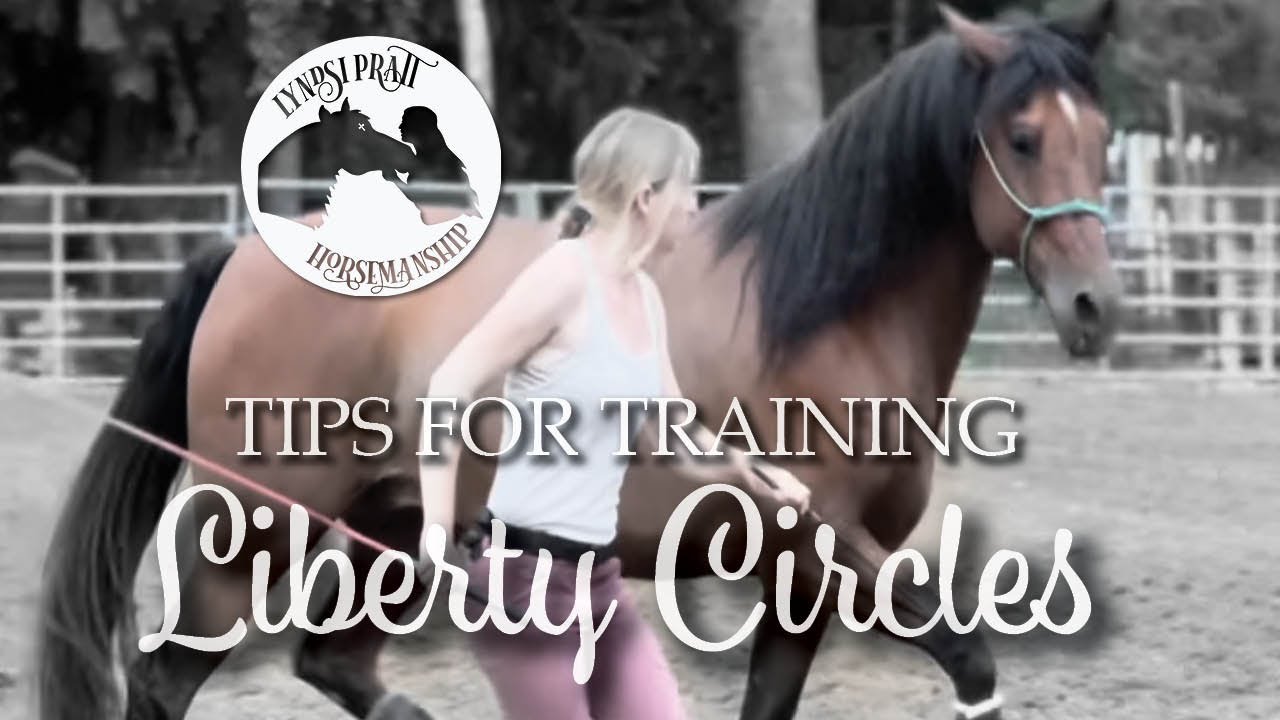 Liberty Horse Training Intro to Liberty Circles YouTube