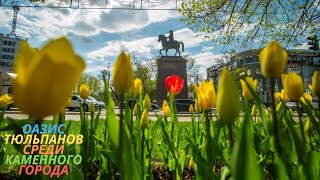 Весенний Харьков утонул в красоте!Город цветет и пахнет.Май,2021г.