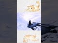 【飛翔】 #shorts #lifeinjapan #日本の風景 #癒し #healing #ペンギン #水族館 #aquarium #relaxationvideo