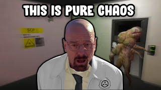 The Average Experience in SCP: SL