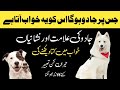 Jis bandy pr jadu ho osay ye 5 alamat hoti ha khwb mein dog dekhnay sy kia hota khwb mein dog dekhna