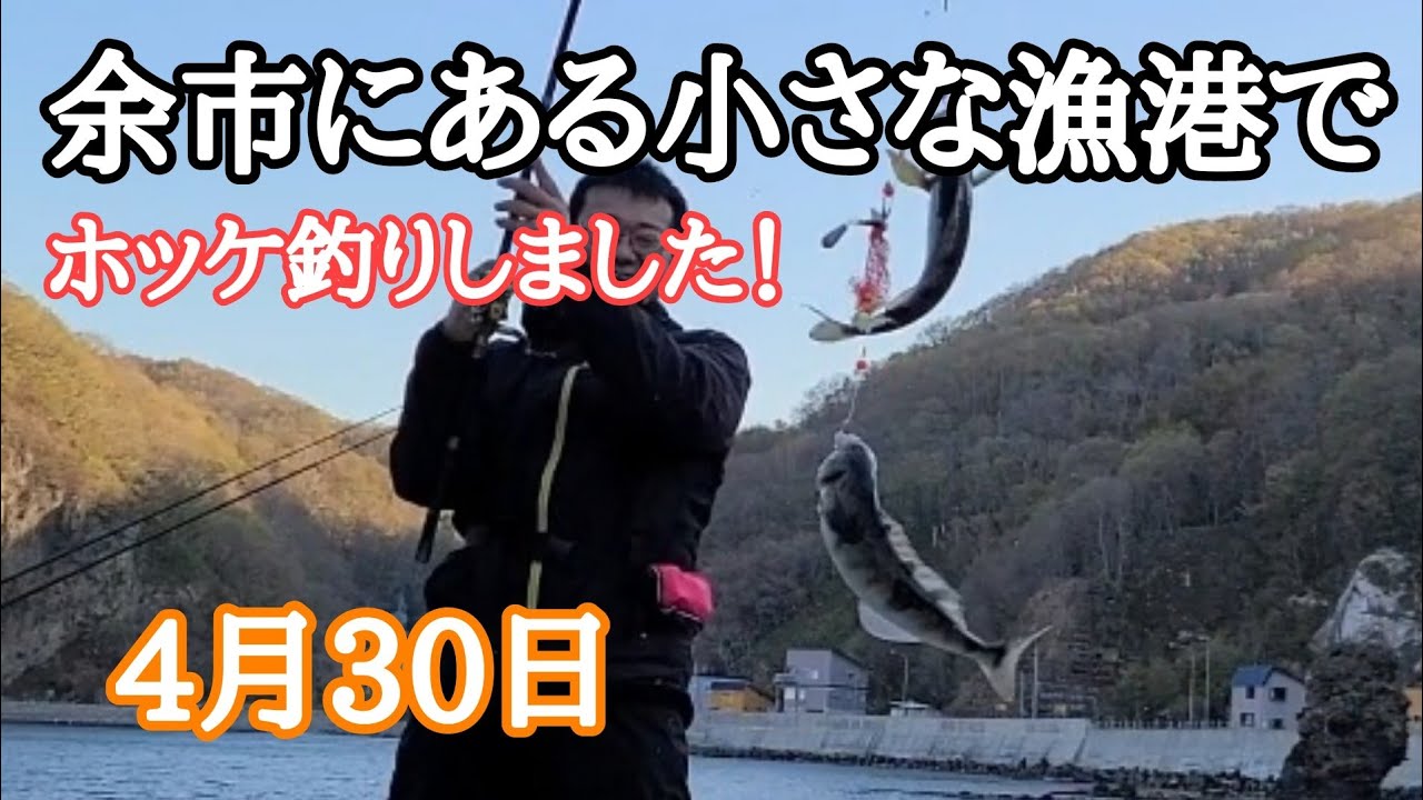 出足平漁港でホッケ釣りをしました！