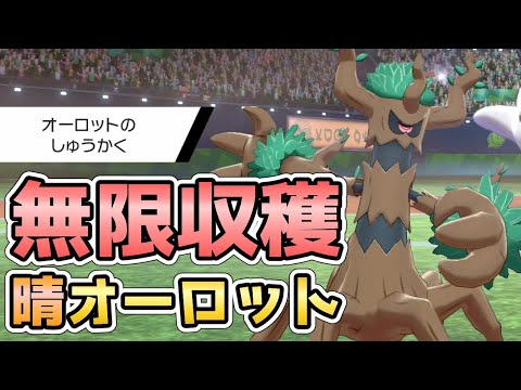 ポケモン剣盾 オーロットで最強のきのみ スターのみ を力尽きるまで無限に収穫してみた 晴れパ シングル Youtube