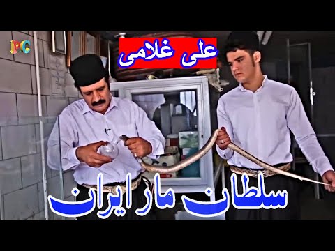 تصویری: چرا مارها دم خود را گاز می گیرند؟