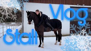 STALL VLOG EISIGKALT! ❄️🐴 annchenaugustine