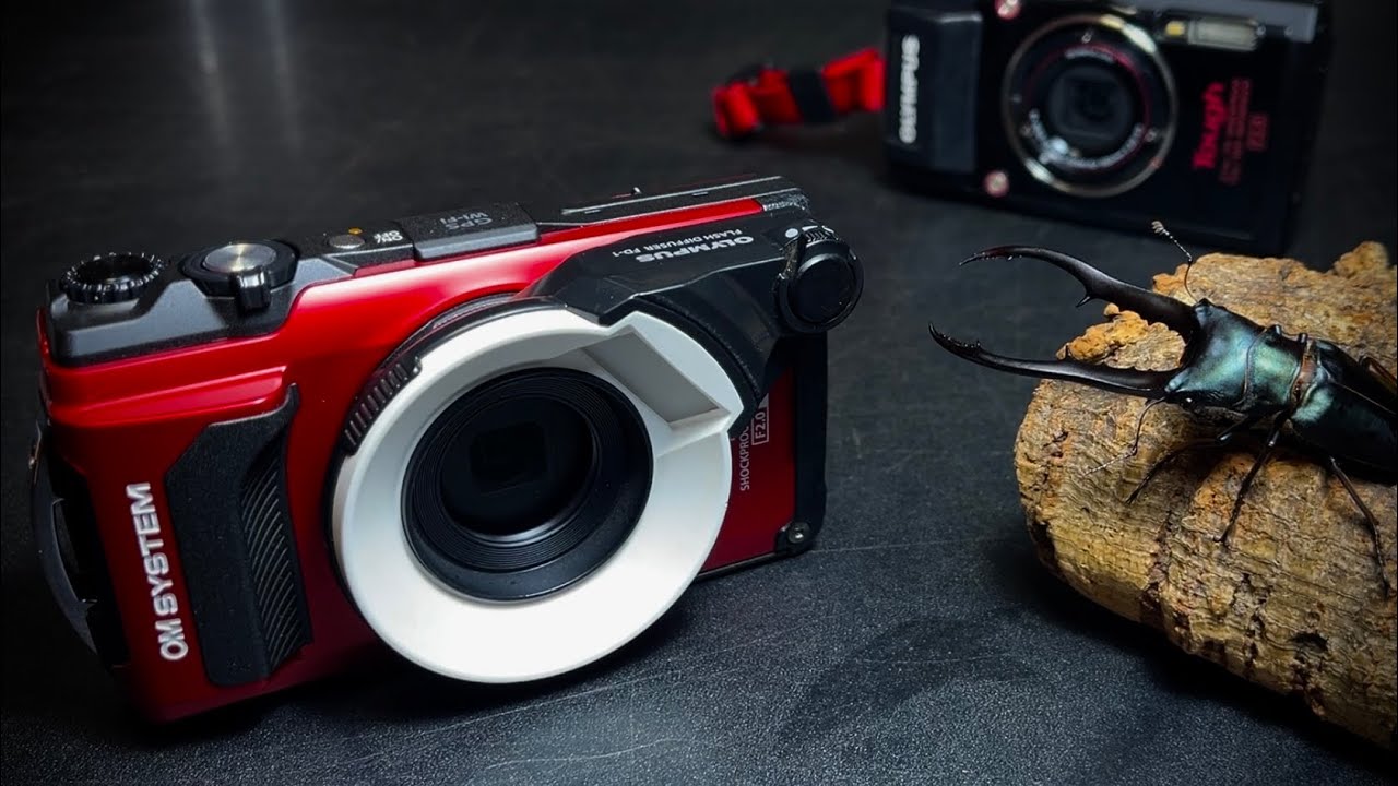 A thorough explanation of how to photograph stag beetles [TG-7 