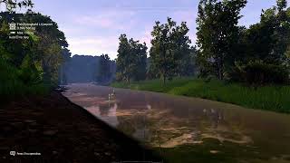 Unique Spotted Aracu At Marron River In Bolivia - Fishing Planet