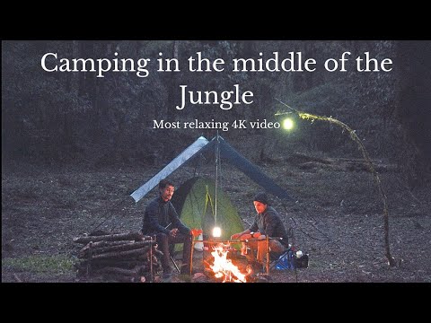 [4K] Surviving the Wild: Overnight Winter Duo Camping Experience