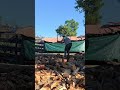 There is a system to our madness-chopping wood like a boss