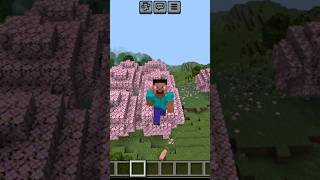 Which minecraft animal can survive fall from 20 blocks #youtube #minecraft #ytshorts #shorts