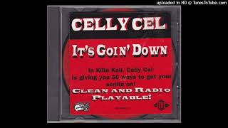 Celly Cel - It's Goin' Down(1996)(HD)