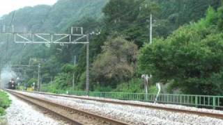 上越線　D51　本格復帰！　みなかみ号