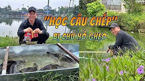 Đi câu cá chép mà bị chủ hồ ghẹo #chungnguyenfishing