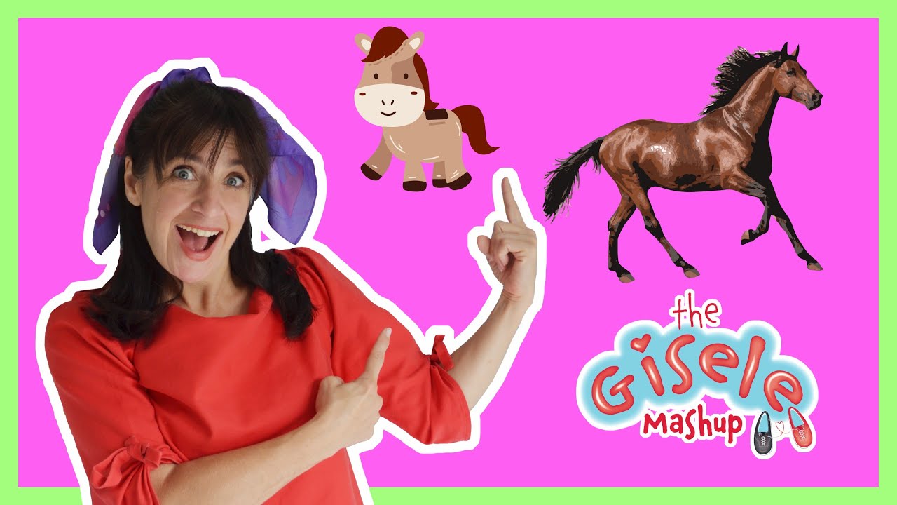 SHOW ABOUT HORSES FOR CHILDREN Learn About Horses With Facts And Toy