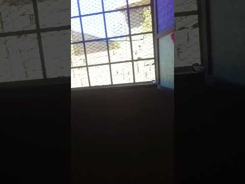 قناة محمد حبالي