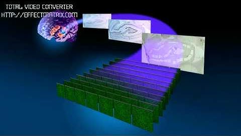 Brain Vitamins-Allan Jones-Part3