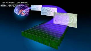 Brain Vitamins-Allan Jones-Part3