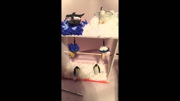penguins unt design 2 project