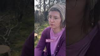 weil Kinder Empathie brauchen, wenn wir als Eltern Gewalt zum Schutz des Kindes eingesetzt haben.