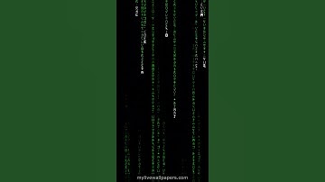#Matrix Rain Code Screen Loop