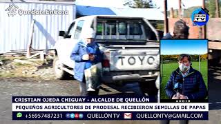 PEQUENOS AGRICULTORES DE PROGRAMAS PRODESAL RECIBIERON SEMILLAS DE PAPAS EN QUEL