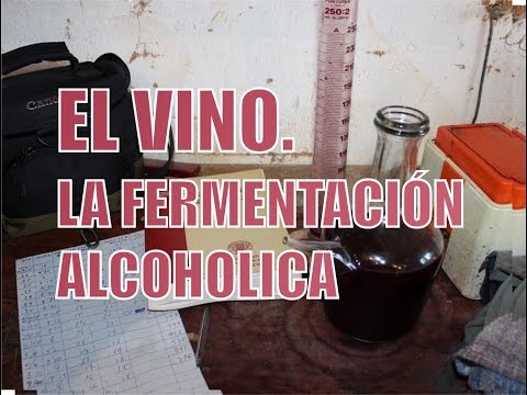 3/5. FERMENTACION ALCOHOLICA - ELABORACION CASERA Y TRADICIONAL DEL VINO