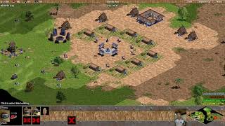 The impact of Age of Empires on the real-time strategy (RTS) genre