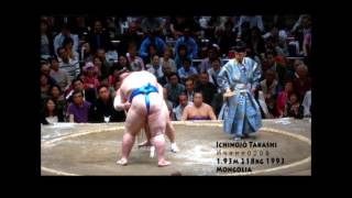 biggest sumo wrestlers ever fattest professional sumo wrestlers all time
