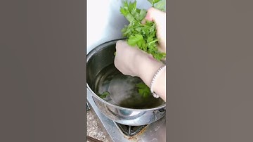 Giảm viêm nhiễm, nấm ngứa phụ khoa bằng ngải cứu - Dương CoCo