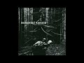 Sedopriad Kamnia - "Dead Forest" 2026 (dark/drone/space/apocalyptic ambient, chthonic/dungeon synth)