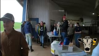 We Had A Breeding Cl At The Farm