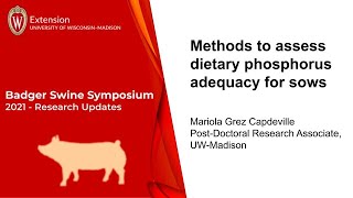 Methods to assess dietary phosphorus adequacy for sows