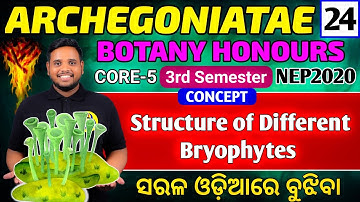 Structure of Bryophytes|bsc 3rd semester botany honours|botany hons|core5 botany honours|botany hons
