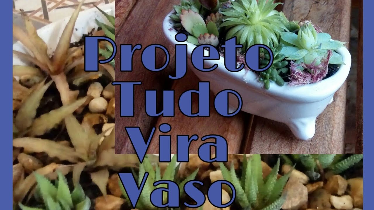 Projeto: Tudo vira vaso.