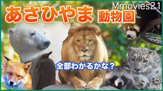 おでかけ旭山動物園  紅葉する園内めぐり全100種以上の動物に会えるか？