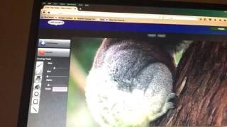 Web 2.0 Video Tutorial for Chogger