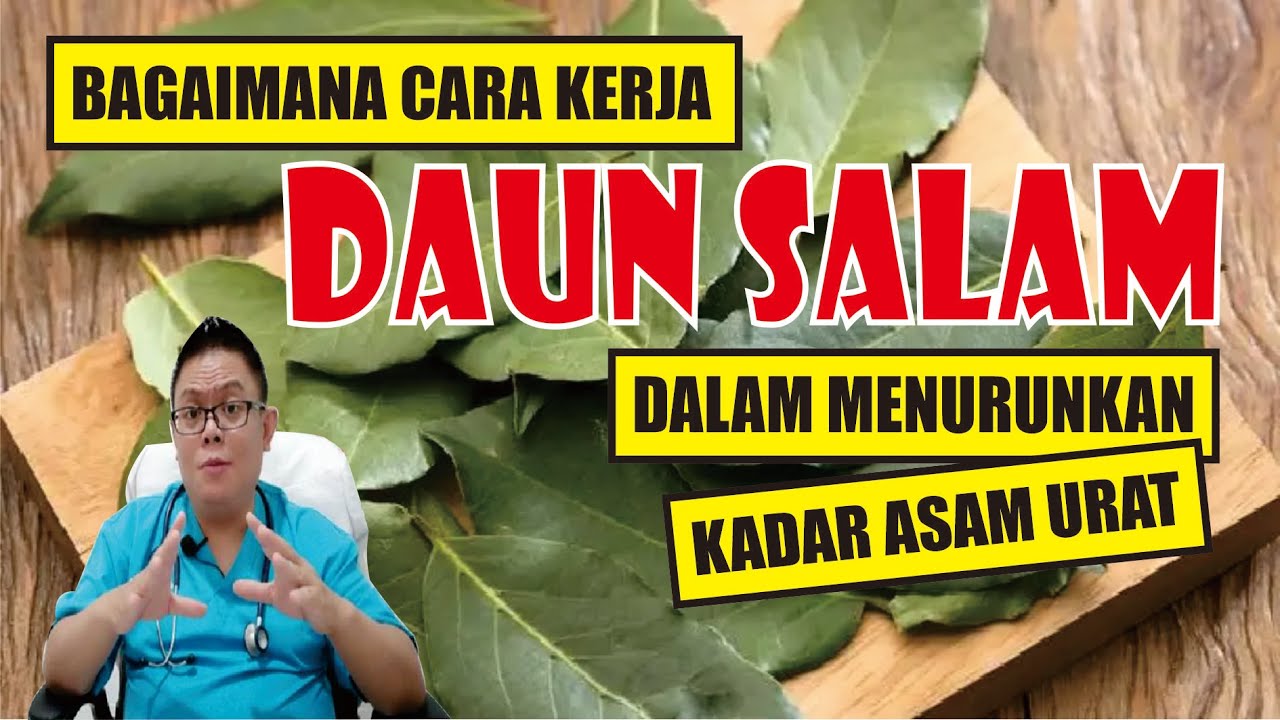BAGAIMANA CARA KERJA DAUN SALAM DALAM MENURUNKAN KADAR ASAM URAT