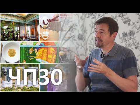 Чайная параферналия №30. Гайванедержалки, валлийский чай, пурпурные бутылочки и колорадская чайхана