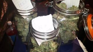 A look at the aos x gsc dry weight