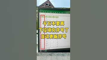 能自动更新序号的表格你会做吗？#自动更新序号 #办公技巧 #涨知识 #每天学习一点点 #Excel