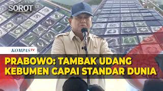 FULL! Pidato Lengkap Prabowo Sebut Tambak Udang Kebumen Capai Standar Dunia