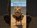 Lion Jumps Into Cage! 🦁🔥 #Shorts #drjeen