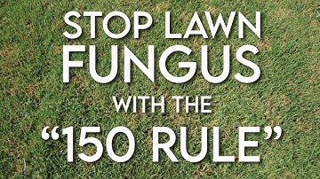 The 150 Rule + Prevent Lawn Fungus