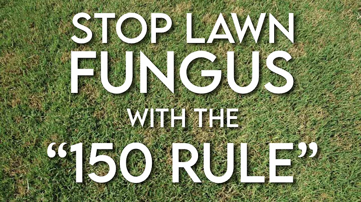 The 150 Rule + Prevent Lawn Fungus