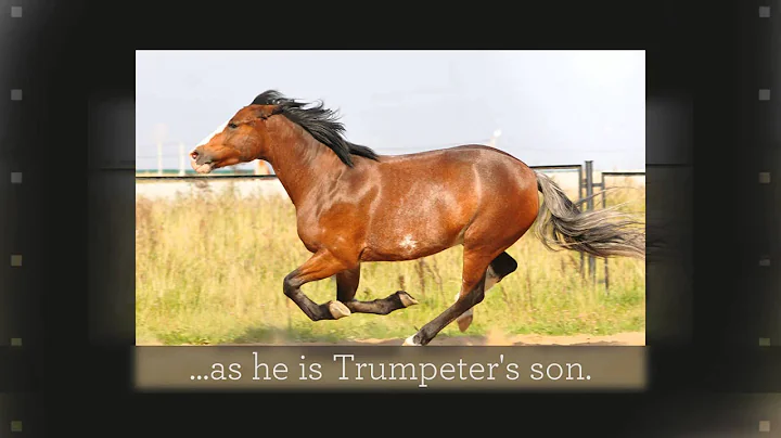 A Horse Named Dog, By: Theresa Oliver