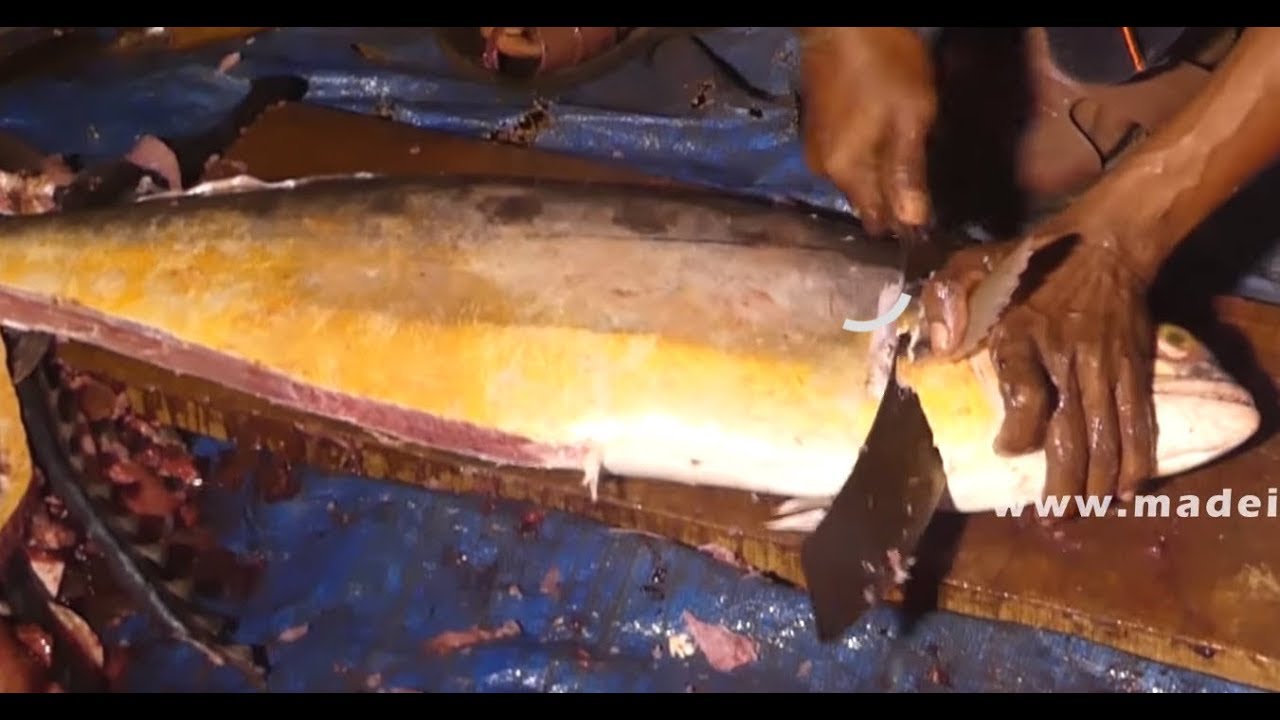 Amazing Fish Cutting | Fish Fillet | Street Food street food | STREET FOOD