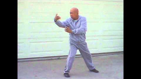 24 Forms   Step # 21-Augmented right swordhand block