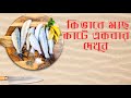 কুয়েত মাছের মার্কেটে মাছ কত সস্তা দেখুন || কুয়েত মাছ বাজার || #shark #fishingvideo #fishmarket