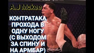 Как защиться от прохода в ноги и выйти на прием? Боец Bellator mma Эй Джей МакКи/A.J Mckee